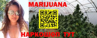 герыч Кингисепп