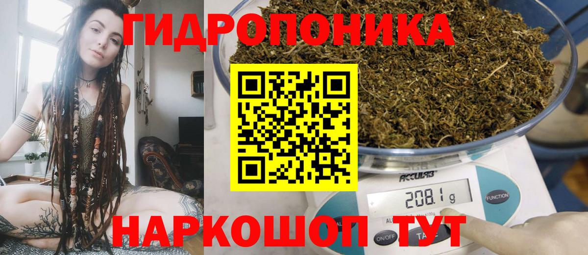 Бошки марихуана марихуана  Вход с VPN  Конопля ГИДРОПОН  Сорочинск  Марихуана конопля 